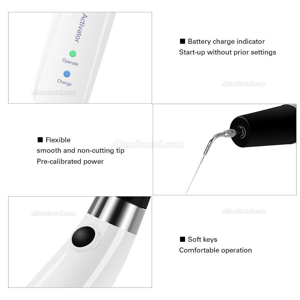 Dental Endoactivator Ultra Activator Irrigator Handpiece + Titanium Endoactivator Tip